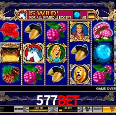 577BET Brasília - VIP Program